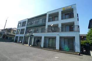 ソレイユ航映の画像