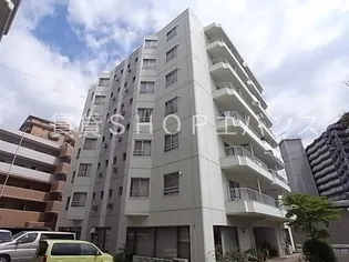 ハイツエバグリーン津田沼2号棟の画像