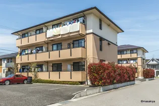 ツインコートの画像