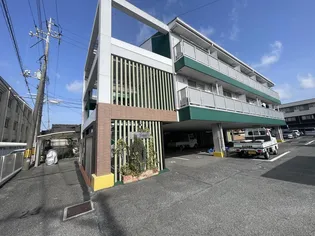 ザとまとの画像