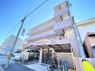 アルファ南分の画像