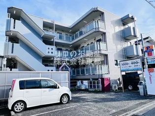 グレース アイの画像