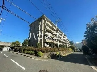 グレース代官3の画像