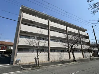 アクシスの画像