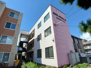 めぞんぶらんしゅの画像