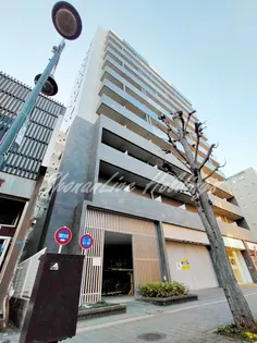 ジィクシア湘北【10階】の外観