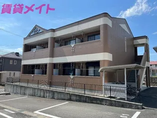 ベルグラース波木の画像