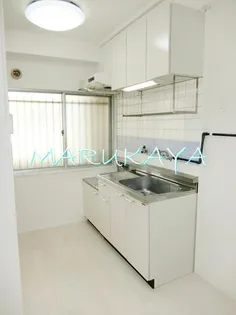 セピアハイツ【2階】のキッチン