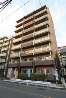 Elvita【7階】の外観