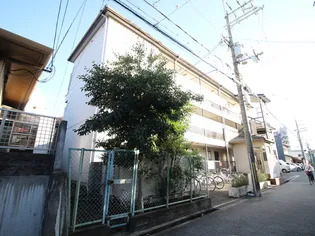 ピュアネス78の画像