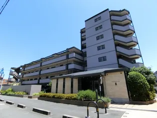 フロレアール ジーアの画像