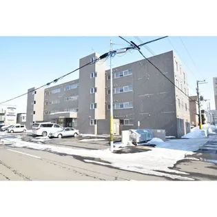 シュープリームコート7の画像