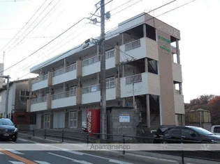 プチクローバーの画像