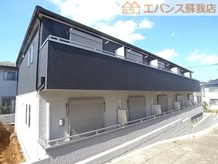 サクラノキタの画像