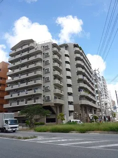 ライオンズプラザハーバービューの画像