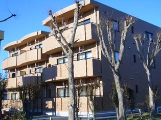 群馬県伊勢崎市除ケ町【マンション】の外観