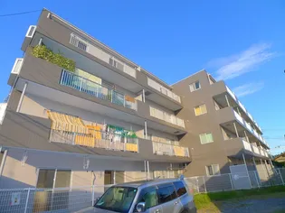 グレイストーエイの画像