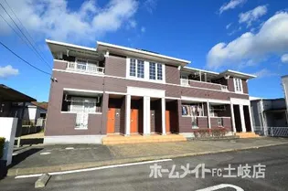 カームリーの画像