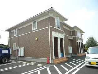 サニープラシードBの画像