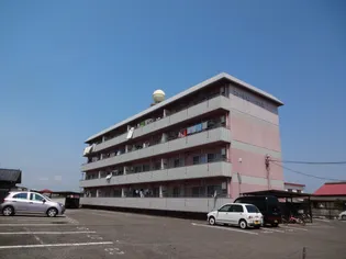 ステーションハイツ大江【4階】の外観