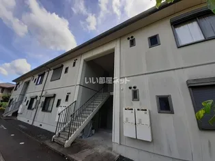 テラス花水木の画像