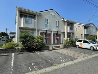 カメリアAの画像