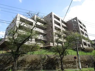 メゾン ルミエールたまプラーザの画像