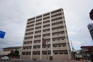 アマルフィーノグランの画像