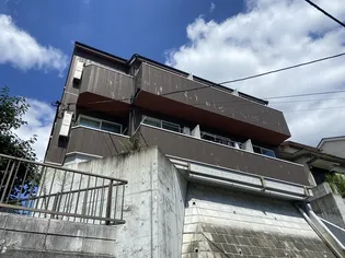 ソリッド星川の画像