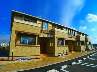 シュシュの画像