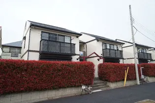 GREEN LEAF Aの画像