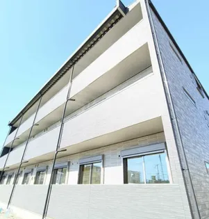 グリーングレイスの画像