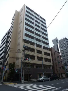 スターリリーの画像