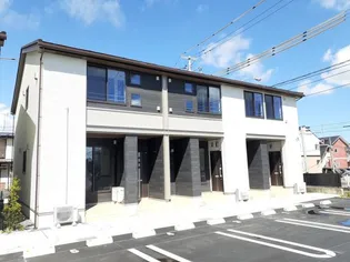 プリムラⅡAの画像
