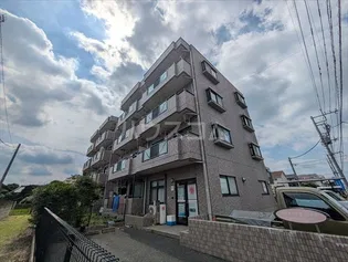 ピソ ベルデの画像