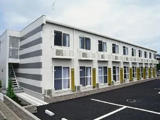 オリーブの画像