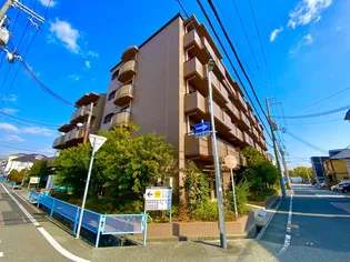 ココ西宮【5階】の外観