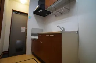 ビオナ・ガルボ【1階】のキッチン