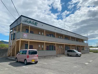 アンジェリックEの画像