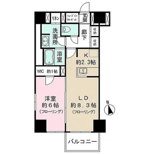 カメリアコート 新宿【11階】の間取り