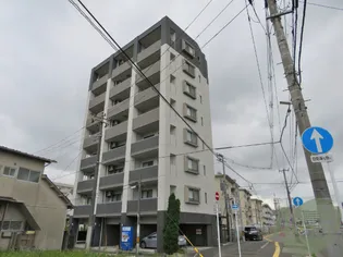 M CHATELET【4階】の外観