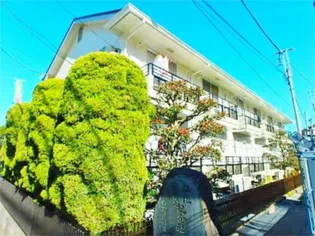 メゾンドール市川【1階】の外観