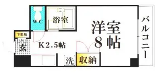 snow house II【3階】の間取り