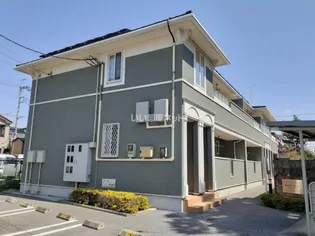 フォレスト メディオの画像