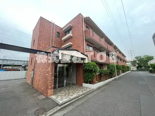 V スクエアSUGITAの画像