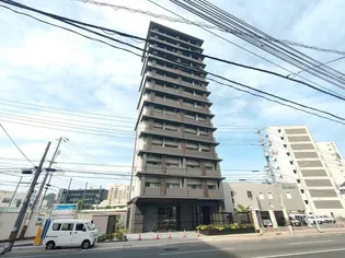 エイトバレー50の画像