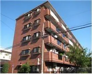 エクロール蓮根の画像