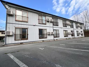 フォレスト ワンの画像