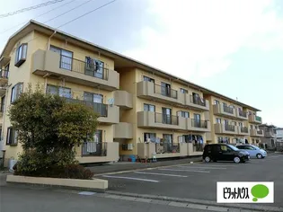 ナウ宮島の画像