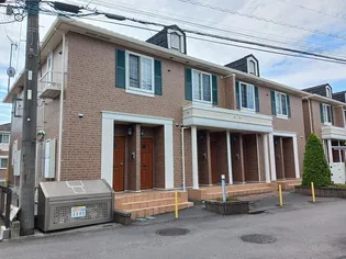 ヴィオラ Aの画像